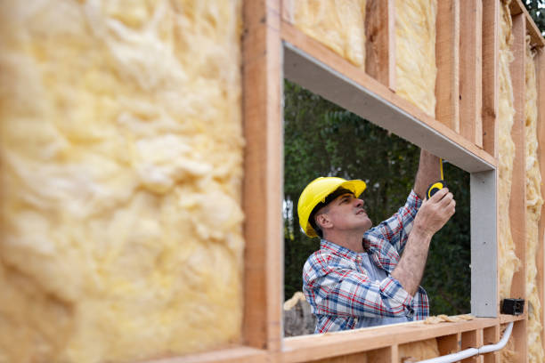 Best Attic Insulation Installation  in New Mford, IL